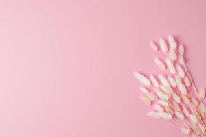 Cosmetic background with flowers on pink. Flat lay, copy space photo