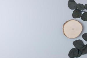 Cosmetic background with eucalyptus natural background and a wooden podium on grey. Flat lay, copy space photo