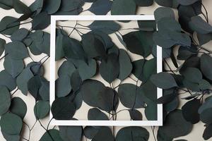 White frame with eucalyptus, natural background. Flat lay, copy space. photo