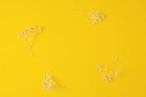 Cosmetic background with flowers on yellow. Flat lay, copy space photo