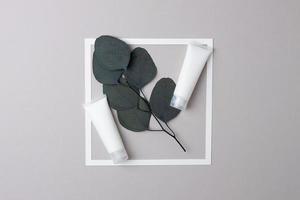 White tubes of cosmetic cream with white frame and eucalyptus on grey background. Flat lay, copy space photo