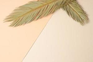 Tropical background with palm leaf on pastel beige. Flat lay, copy space photo