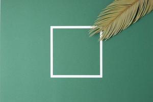 Tropical background with palm leaf and white frame on green. Flat lay, copy space photo