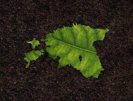 Estonia map made of green leaves on soil background ecology concept photo