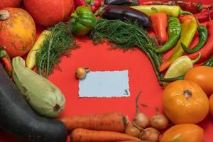 Vegetables are laid out around a sheet of paper and a pencil. Empty space for text. Vegetables, empty blank for recipe  on a red background. photo