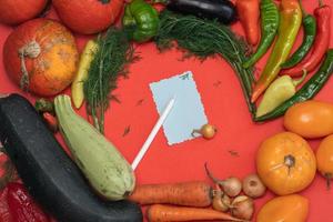 Vegetables are laid out around a sheet of paper and a pencil. Empty space for text. Vegetables, empty blank for recipe on a red background. photo