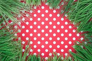 Green spruce pine branches on red background with polka dots. Frame. Christmas, New Year, Birthday, Valentine, Mother's and International Women's Day. Copy space photo