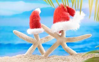 Two white starfish with red Santa Claus' hat on sand beach behind sea and palm trees. Concept of Christmas, New Year in warm countries photo
