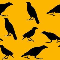 Black crows on orange background. Birds silhouette. Seamless pattern. Halloween Concept photo