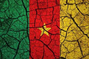 Dry soil pattern on the flag of Cameroon. Country with drought concept. Water problem. Dry cracked earth country. photo