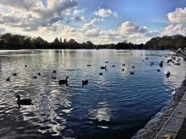 una vista de algunos pájaros en un lago en Londres foto