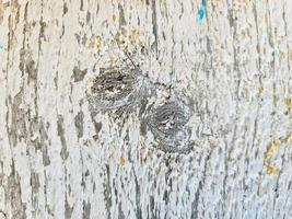 Close up view on different wood surfaces of planks logs and wooden walls in high resolution photo