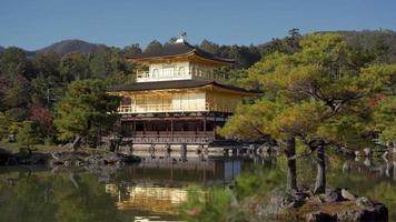 otoño colorido con el pabellón dorado del templo kinkakuji en kyoto, japón. video
