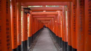 2019-11-23 Kyoto, Japon. portes torii célèbres du sanctuaire fushimi inari. video