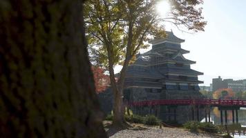 château de matsumoto à l'automne dans la ville de matsumoto, nagano, japon. video