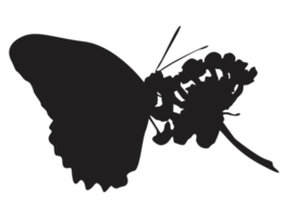 silueta de mariposa posada png