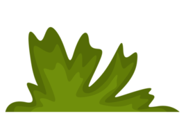 decoración de hierba verde png