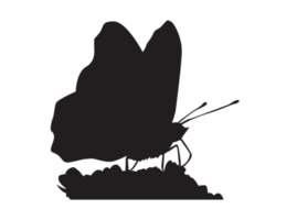 perching butterfly silhouette png