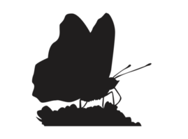 silhouette de papillon perché png