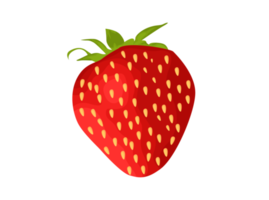 fruit - vers aardbei png