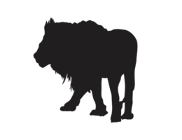 silhouette di un' maschio Leone png