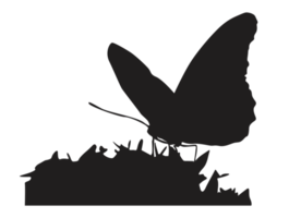 silhouette de papillon perché png