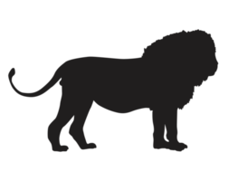 silhouette d'un lion mâle png