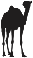 silhouette de chameau debout png
