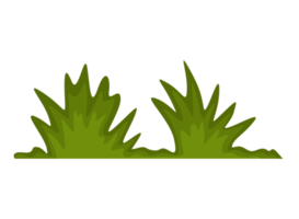 groen gras decoratie png