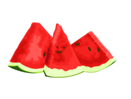 verse watermeloenplakken png