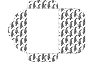 conception d'enveloppe avec thème de motif d'illustration de tortue de mer png