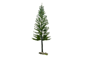 árbol de navidad aislado en un archivo png de fondo transparente sin ninguna decoración. pino