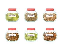 Vector set of illustrations of glass jars with spices. Cumin, cardamom, star anise, cloves, bay leaves, black pepper