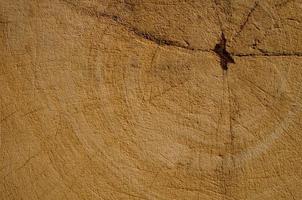 Background texture photo of scratched grunge and the line of old wood