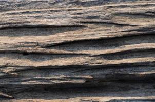 Background texture photo of scratched grunge and the line of old wood