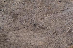 Background texture photo of scratched grunge and the line of old wood