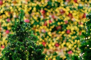 Small Christmas tree with colorful bokeh lights background from another big one for Christmas Holiday festival. photo