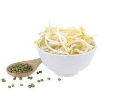 Bowl of mung bean sprouts isolated on white photo