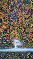 árboles de otoño desde arriba foto