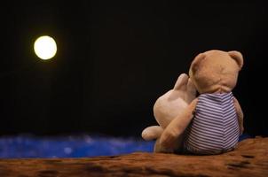 muñecos de oso de peluche y conejo actuando como pareja sentados en una madera y mirando la luna en la noche romántica en la orilla del mar azul. foto