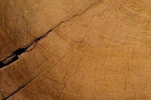 Background texture photo of scratched grunge and the line of old wood