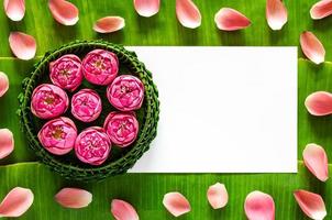 Banana leaf Krathong for Thailand Full moon or Loy Krathong festival with space for text on banana leaves and lotus petals background.