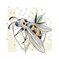 Mystical bee with a skull, contour drawing, graphics, dotwork vector