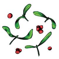 Hand drawn Christmas and New Year clipart. Mistletoe twigs with berries. Holiday illustration vector