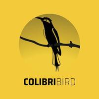 plantilla de vector de diseño de logotipo de colibrí. logotipo moderno y colorido de la mosca del colibrí. ilustración de vector de pájaro abstracto.