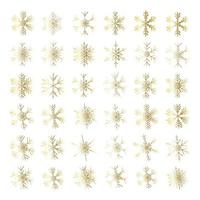 Vector set of different snowflakes