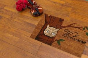 New Delhi, Delhi, IN, 2022 - Beautiful Colorful Welcome zute doormat with Tree and Night Owl placed on brown floor with Guitar photo