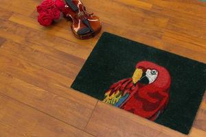 New Delhi, Delhi, IN, 2022 - Modern Black Red Parrot bird printed zute doormat placed with Guitar and Red Roses photo