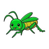 Cute little mantis cartoon character vector