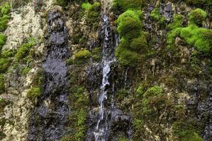 Waterfall in nature photo